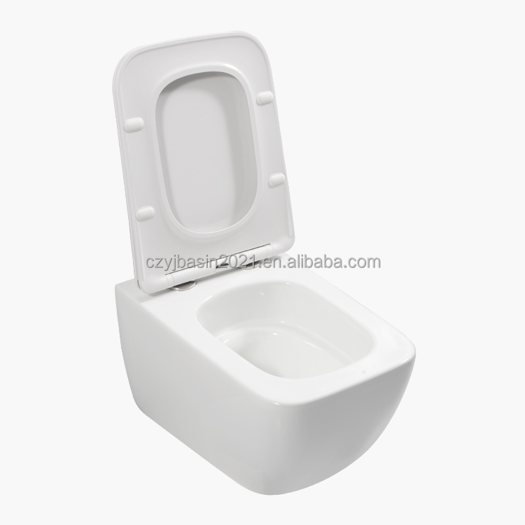 Toilet,Standard Toilet Bowl Se - P & C Home Textiles Usa 评论和价格