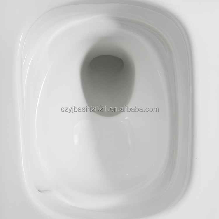 Toilet,Standard Toilet Bowl Se - P & C Home Textiles Usa 评论和价格