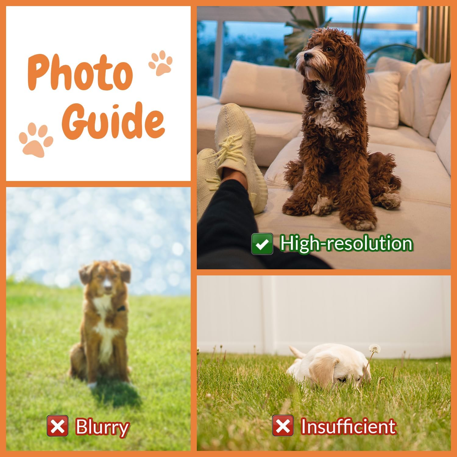 Customised Photo Pet Home Pill - Home Textiles Images 评论和价格