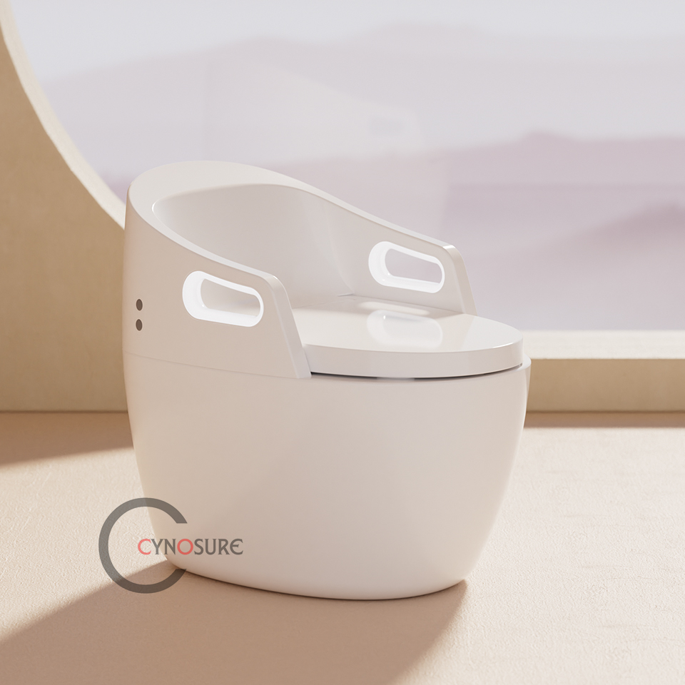 Toilet,New Design Massage Func - P & C Home Textiles Usa 评论和价格